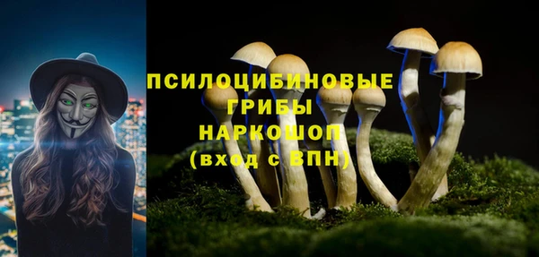 ПСИЛОЦИБИНОВЫЕ ГРИБЫ Армянск