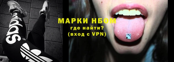 спайс Арсеньев