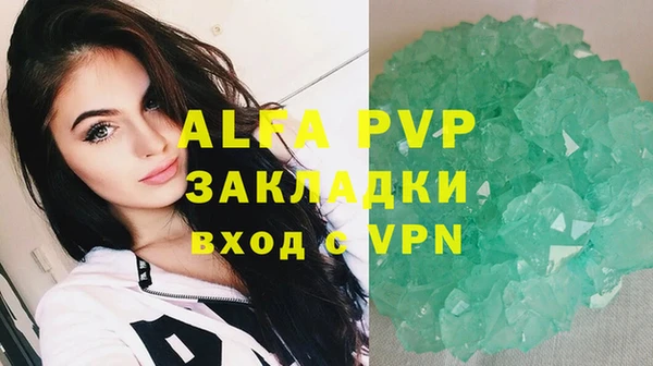 спайс Арсеньев