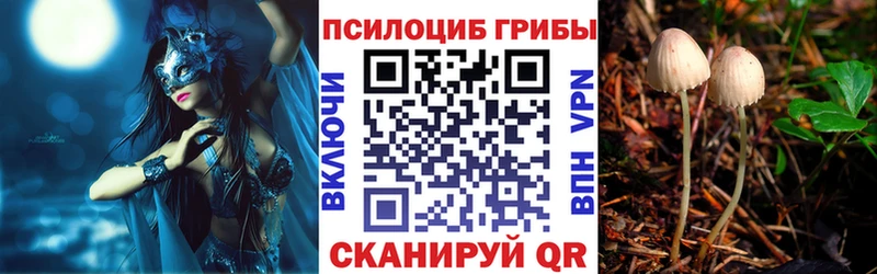 Купить где  Нефтегорск  Галлюциногенные грибы Cubensis 